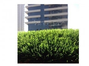דשא סינטטי ירוק ישראלי